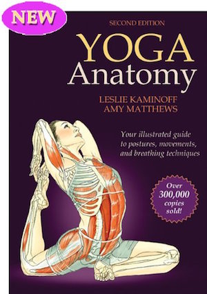 5 Best Yoga Books for Beginners (and Experienced Yogis)